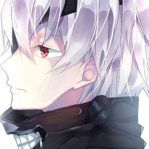 Meet your Posher, Wilmer